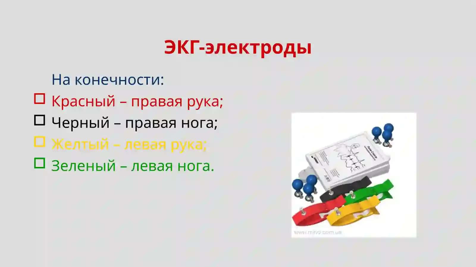 ЭКГ в норме 3