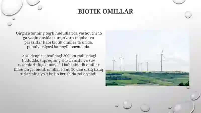 Muhit va ekologik omillar 3