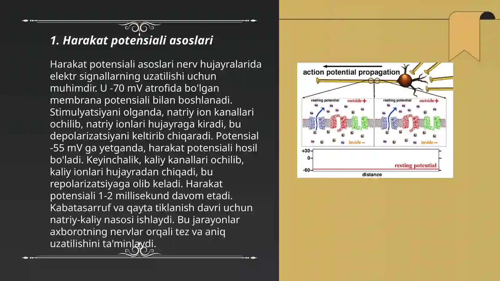 Harakat potensiali 3