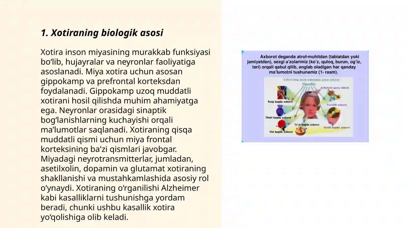 Xotira haqida tushuncha va uning nerv-fiziologik asosi 3
