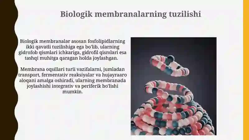 Lipidlar va Lipoidlar 3