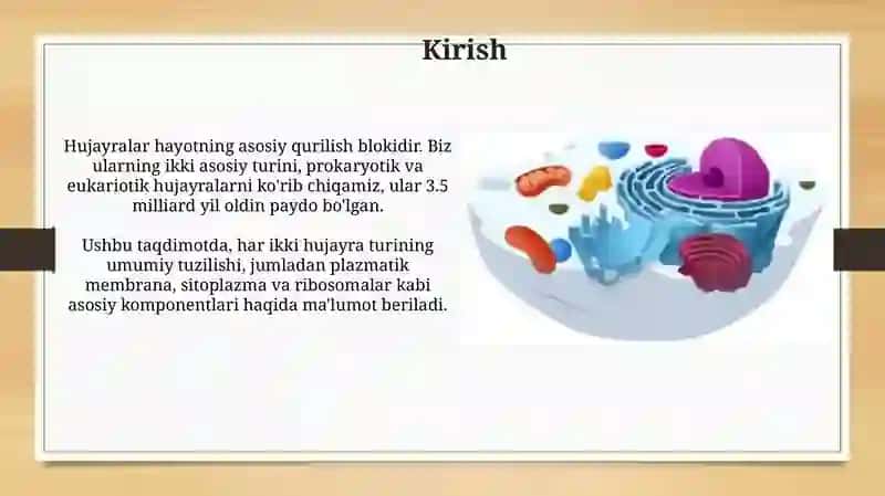 Prokariot va eukariot hujayralarning tuzilishi 3