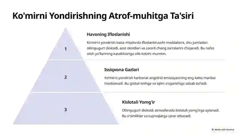 Atrof-muhitga Ta'sir Etgan Holda Turli Xil Yoqilg'ini Yondirish 3