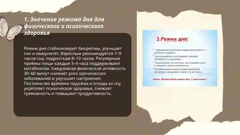 Режим дня. В здоровом теле -здоровый дух 3