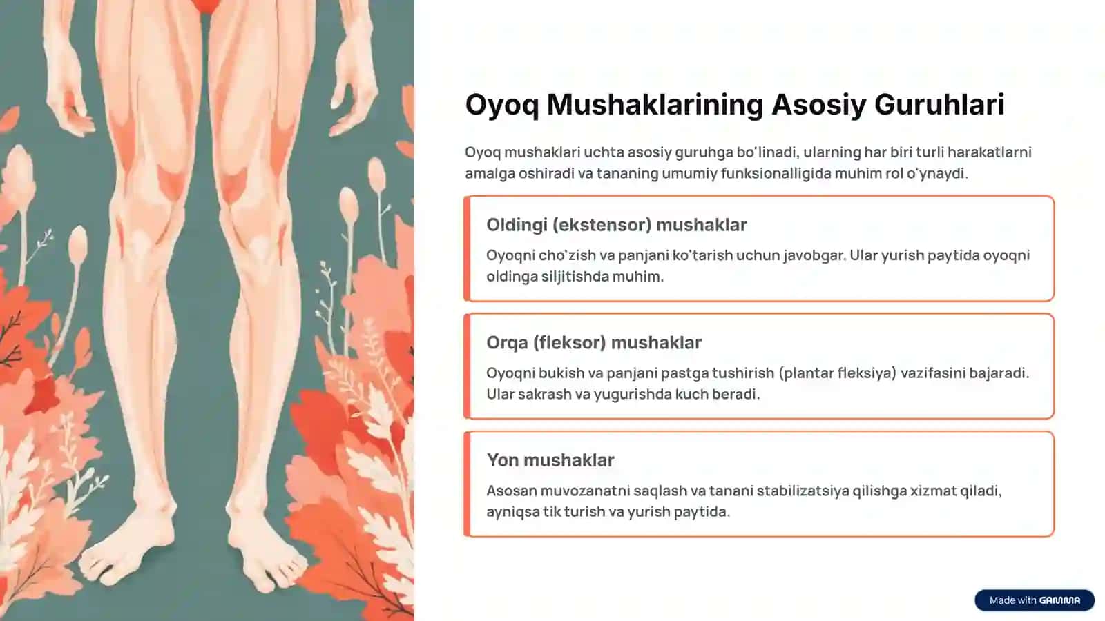 Oyoq Mushaklari Vazifalari: Tuzilishi va Harakatdagi Ahamiyati 3
