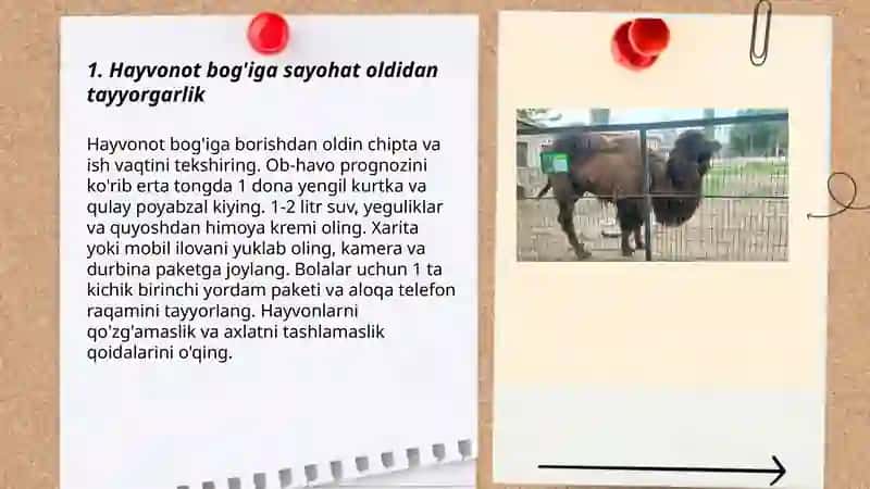 Hayvonot bog'iga sayohat oldidan tayyorgarlik 3