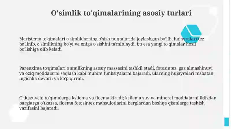 O'simliklar to'qimalari 3