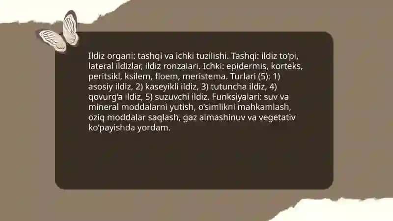 O'simliklarning vegetativ va generativ organlari va jinsiy koʻpayish 3