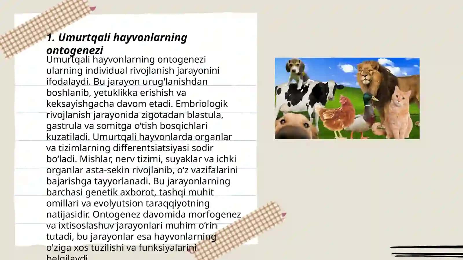 Umurtqali hayvonlarning embrional rivojlanishi 3