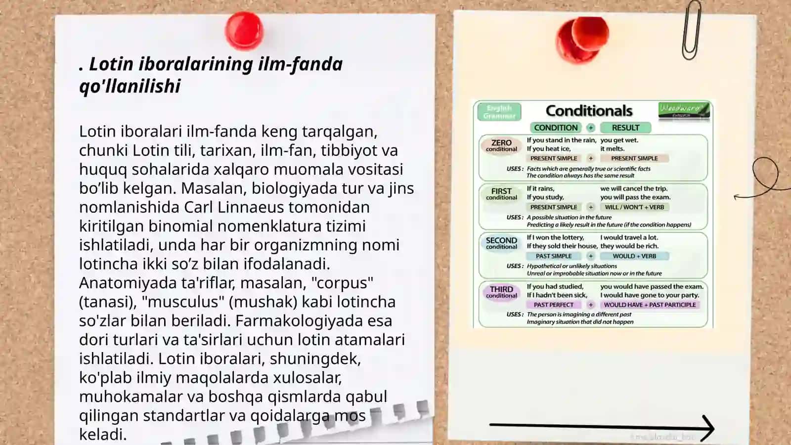 Lotin iboralarining hayotimizning barcha jabhalarida tutgan o'rni 3