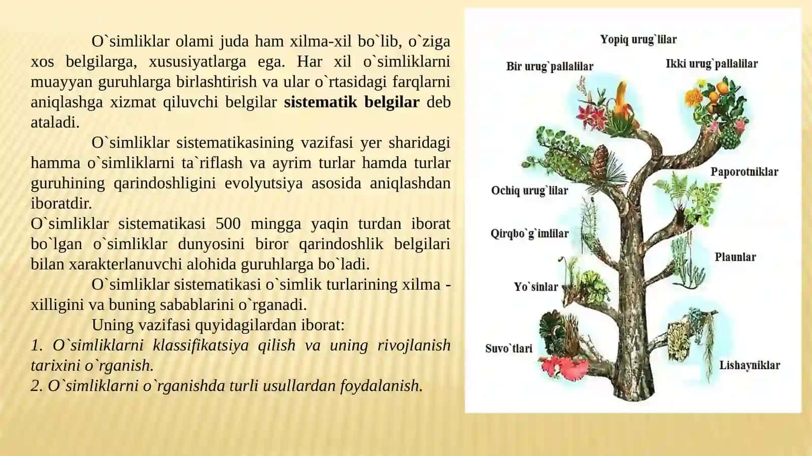 Botanika 3