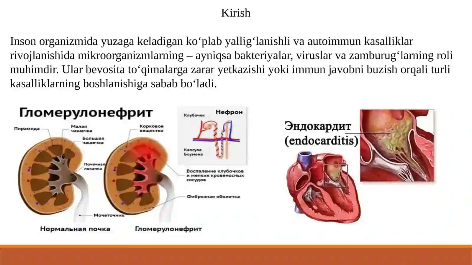 MIKROBIOLOGIYA, JAMOAT SALOMATLIGI, GIGIYENA VA MENEJMENT KAFEDRASI 3