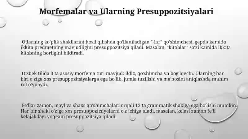Oʻzbek tili morfologik birliklarining presuppozitsiyasi 3