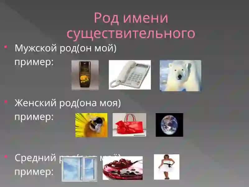 Имя существительное 3