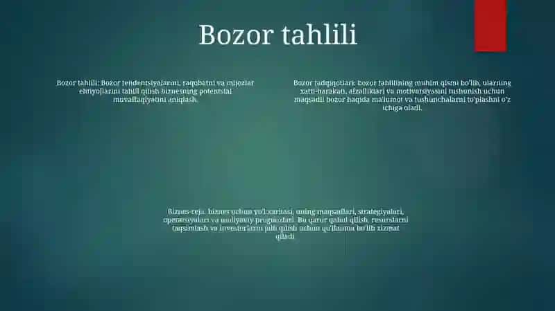 Biznes Reja 3