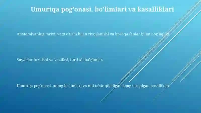 Umurtqa pog'onasi, bo'limlari va kasalliklari 3