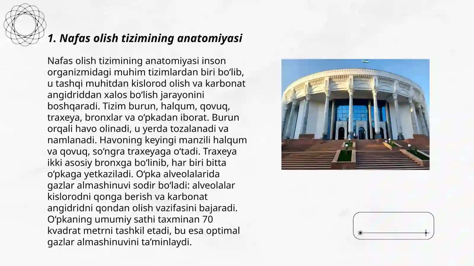 Nafas olish tizimini tuzulishi va funksiyasi 3