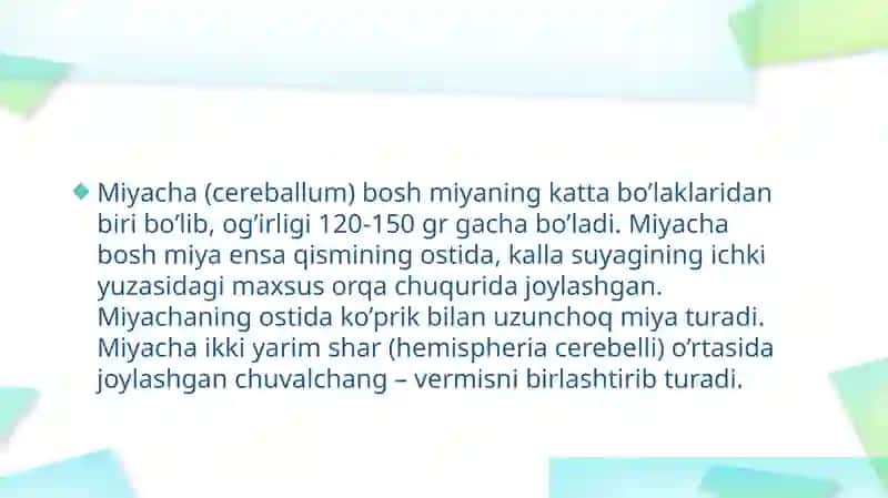 Miyacha (cerebellum) 3