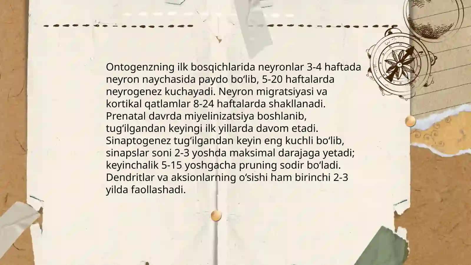 Ontogenzning ilk bosqichlarida insonning psixik rivojlanishiga xos xususiyatlar 3