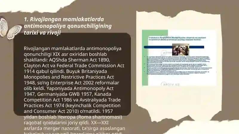 Rivojlangan mamlakatlarda monopoliyaga qarshi siyosat 3