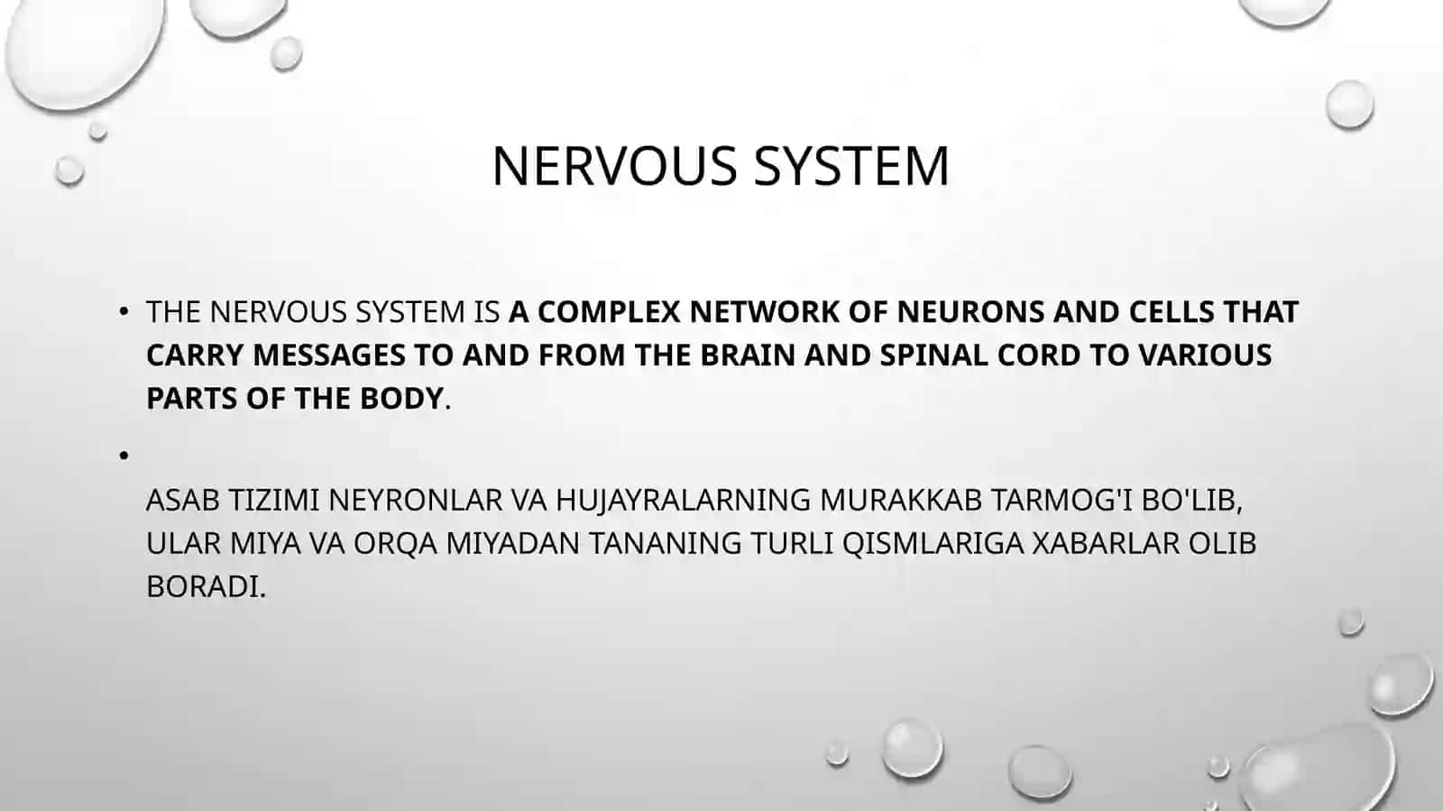 Musculoskeletal 3