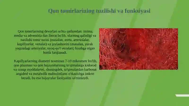 Gemodinamika aosolari 3