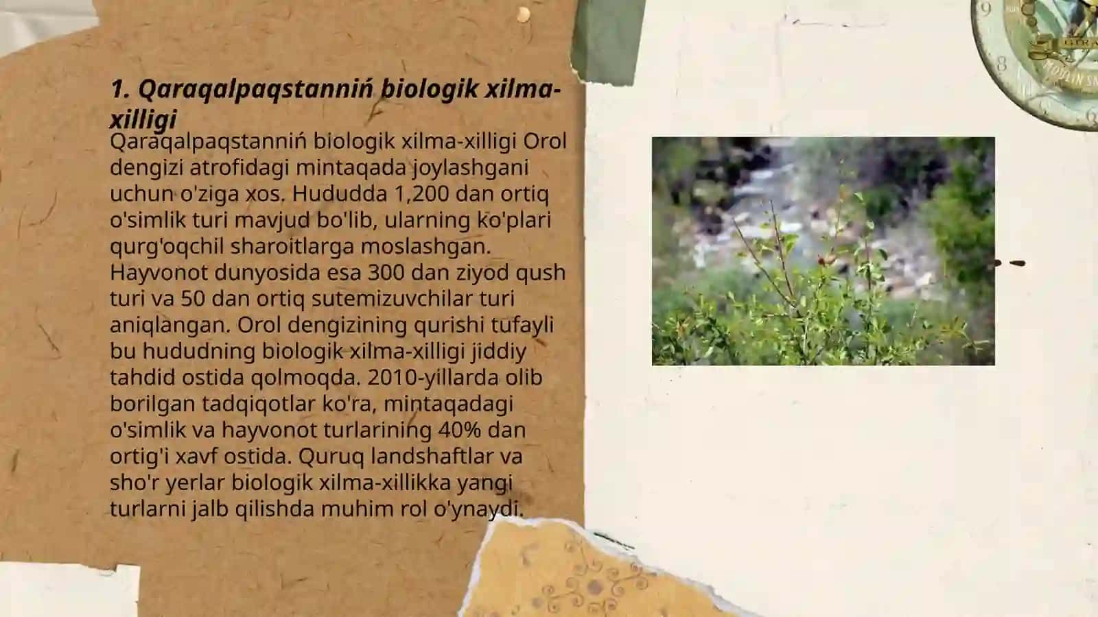 Qaraqalpaqstanniń hayvanat hàm ósimlik dunyasi 3