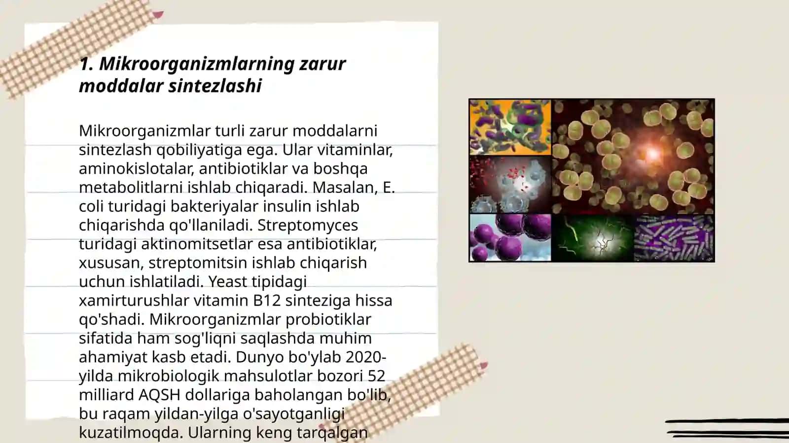 Mikroorganizmlardan zarur moddalar sintezlab olish 3