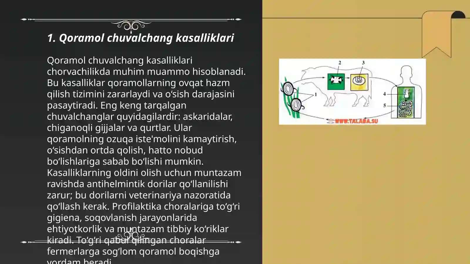Qoramol tasmasimon chuvalchangi 3