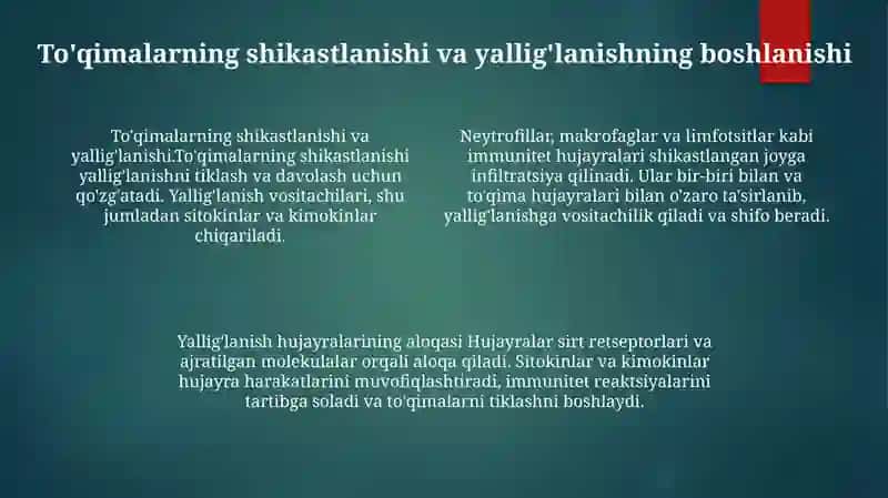 Yallig'Lanish Reaksiyasi Vaqtida Hujayralarni O'Zaro Ta'Siri 3