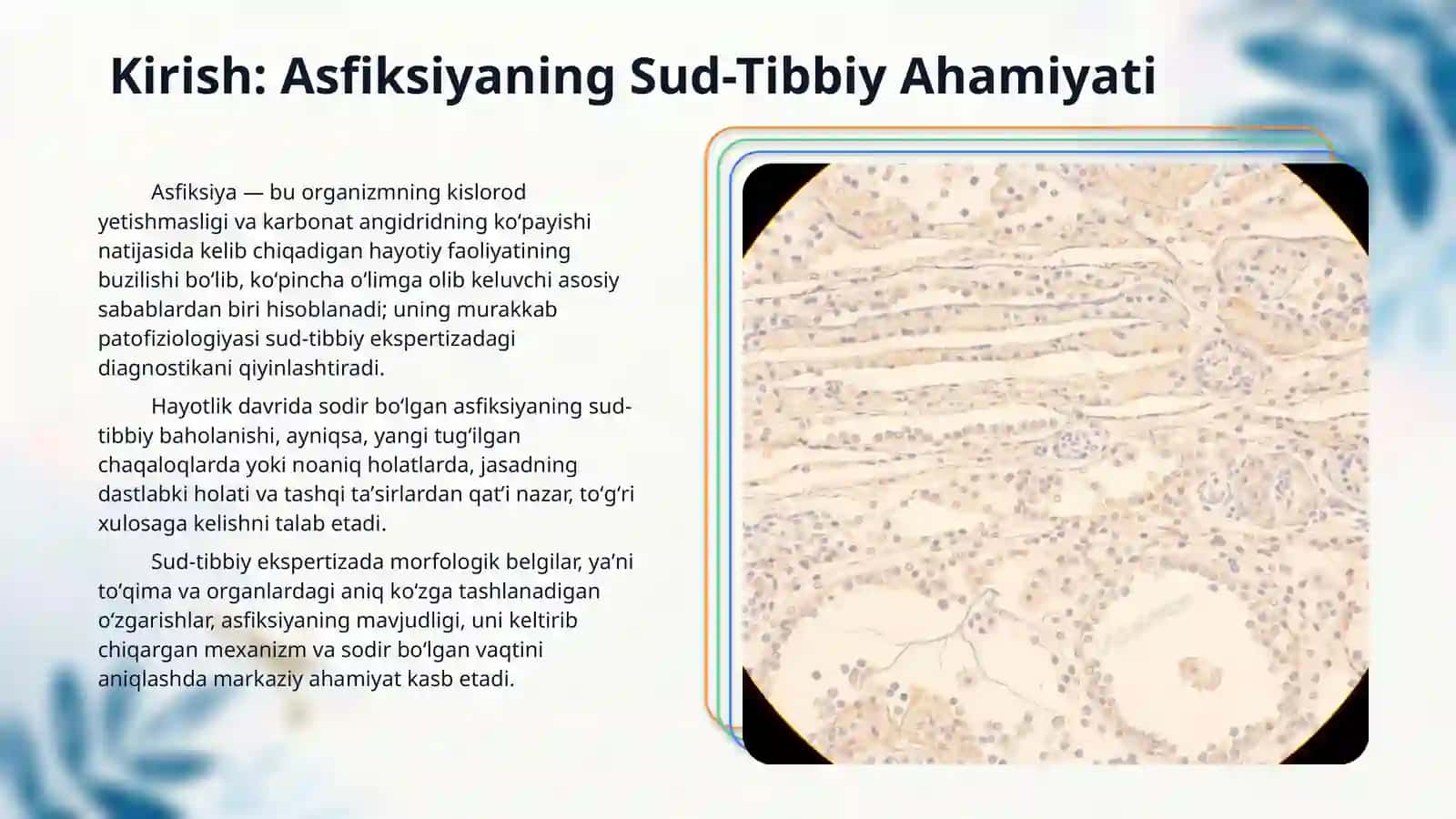 Asfiksiyaning hayotlik vaqtida sodir bolganligini aniqlash va ularning morfologik belgilari 3