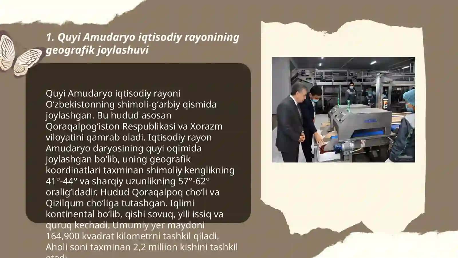 Quyi Amudaryo iqtisodiy rayoni aholisi va mehnat resurslari 3