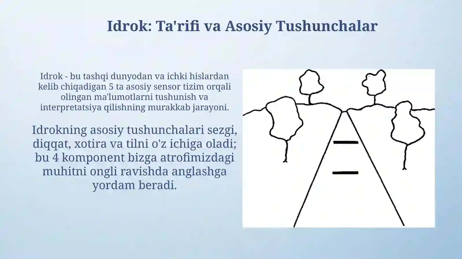 Idrok haqida tushuncha va tibbiyotga bogliq jihatlari 3