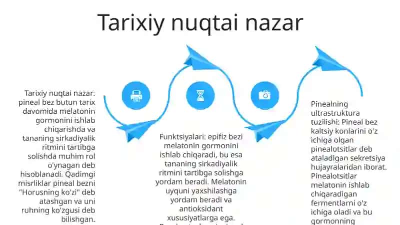 Epifizning Ultrastrukturaviy Tashkil Etilishi Va Funktsiyalari 3