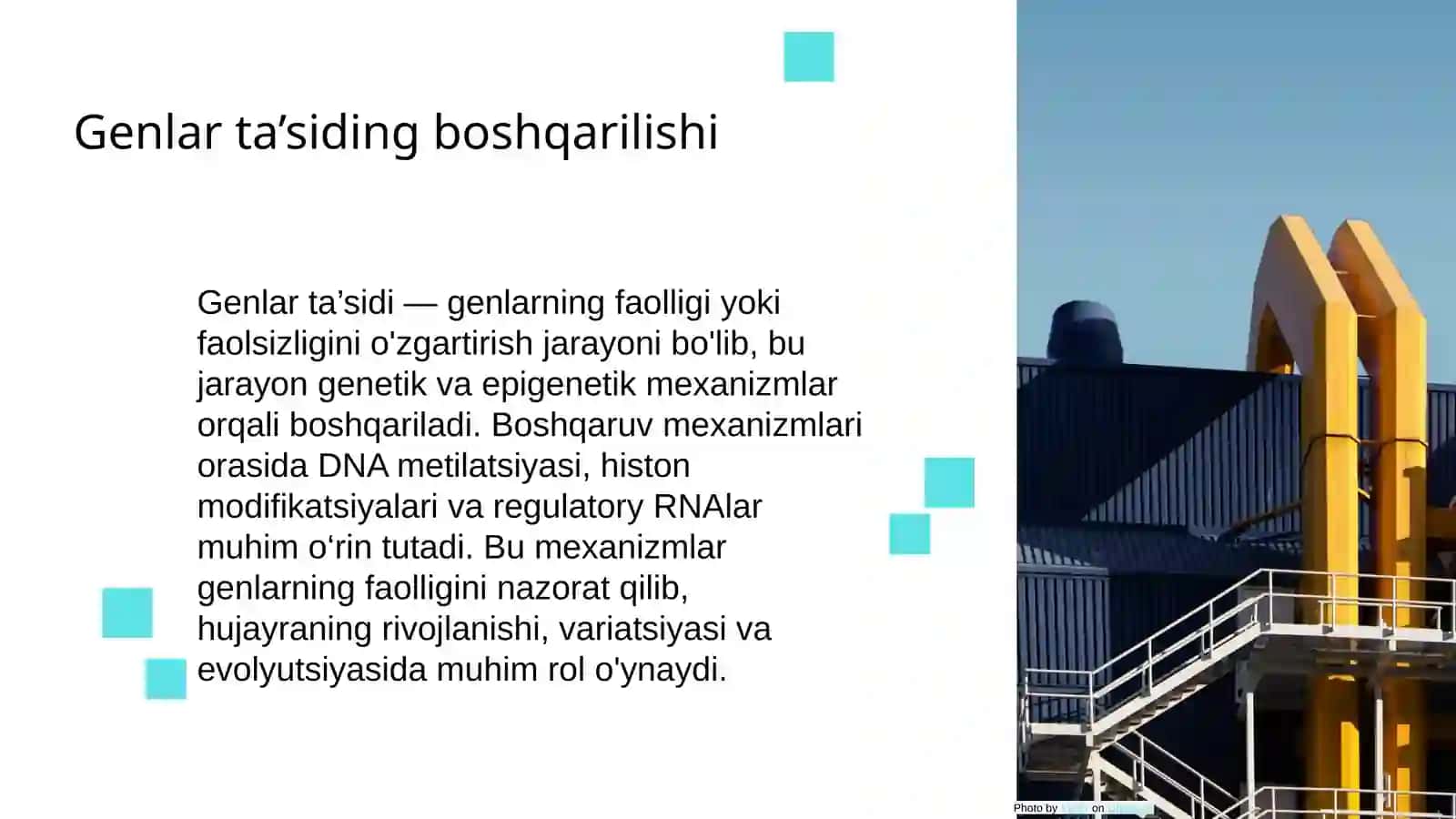 Genlar ta’sirining boshqarilishi hujayra differensirovkasi 3