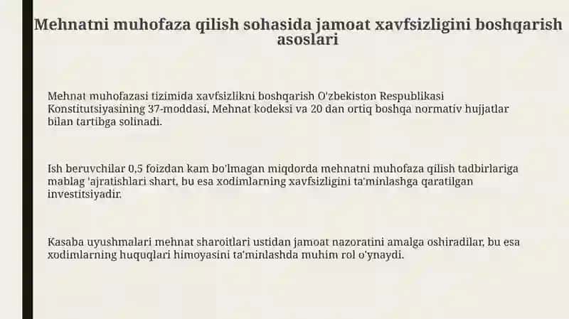 Mehnatni muhofaza qilish sohasida jamoat xavfsizligini boshqarishning tuzilishi 3
