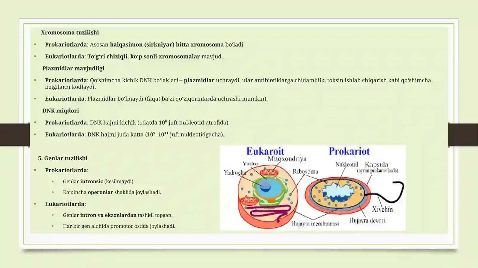 Mikroorganizmlar genetikasi 3