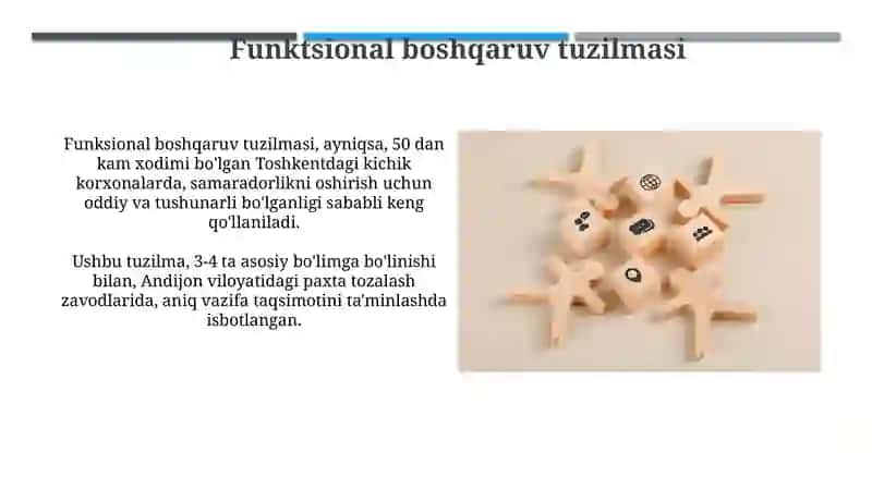 Funktsional boshqaruv tuzilmasi 3