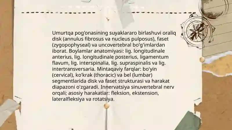 Umurtqa pog'onasining suyaklararo birlashuvi va boylamlar anatomiyasi 3