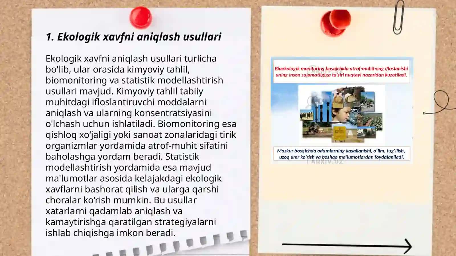 Ekologik xavfni baholash. Atrof-muhit holatlarini baholash metodikasi 3