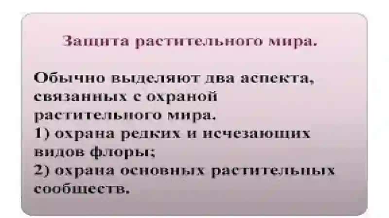Охрана растительного и животного мира 3