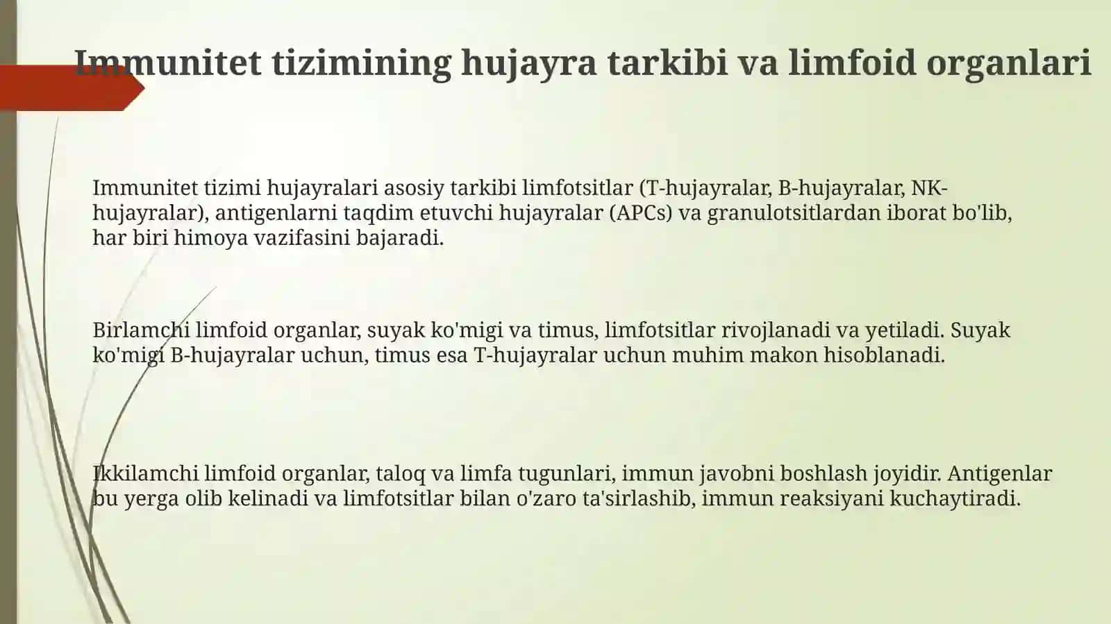 Immun-himoya reaktsiyalarining morfologik asoslari 3