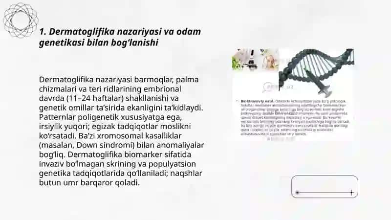 Odilning genetikasi. Dermatoglika usuli 3