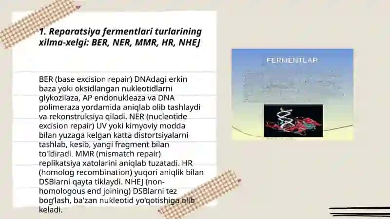 Reparatsiya Fermentlari Faolyatınıng Xilma-Xelgi 3