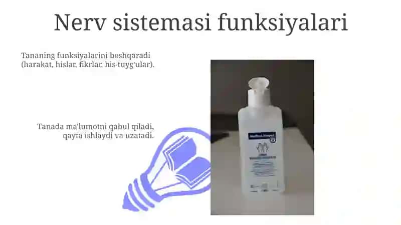 Nerv tizimining xususiy fiziologiyasi va gigiyenasi 3