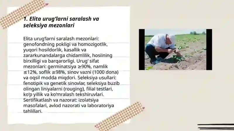 Asosiy ekinlarning elita urugʻlarini yetishtirish usullari 3