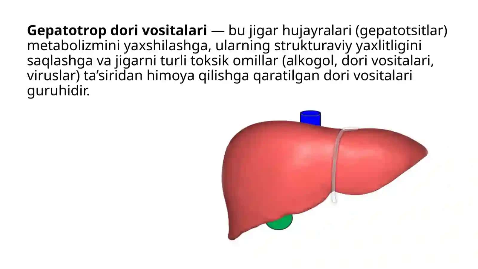 Gepatotrop va o‘t haydovchi dori vositalarining klinik farmakologiyasi 3