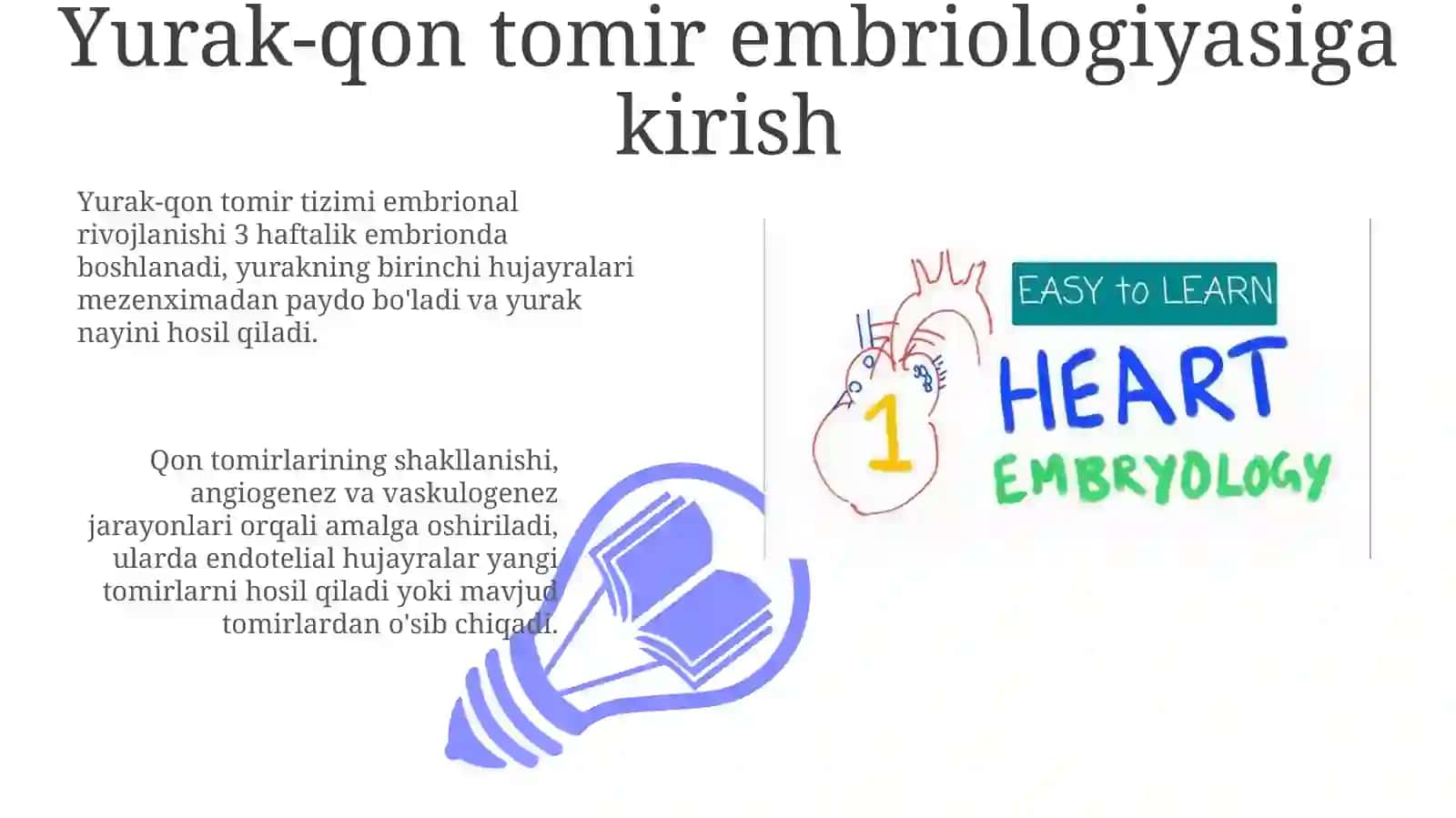 Kardiovaskulyar embriologiya 3