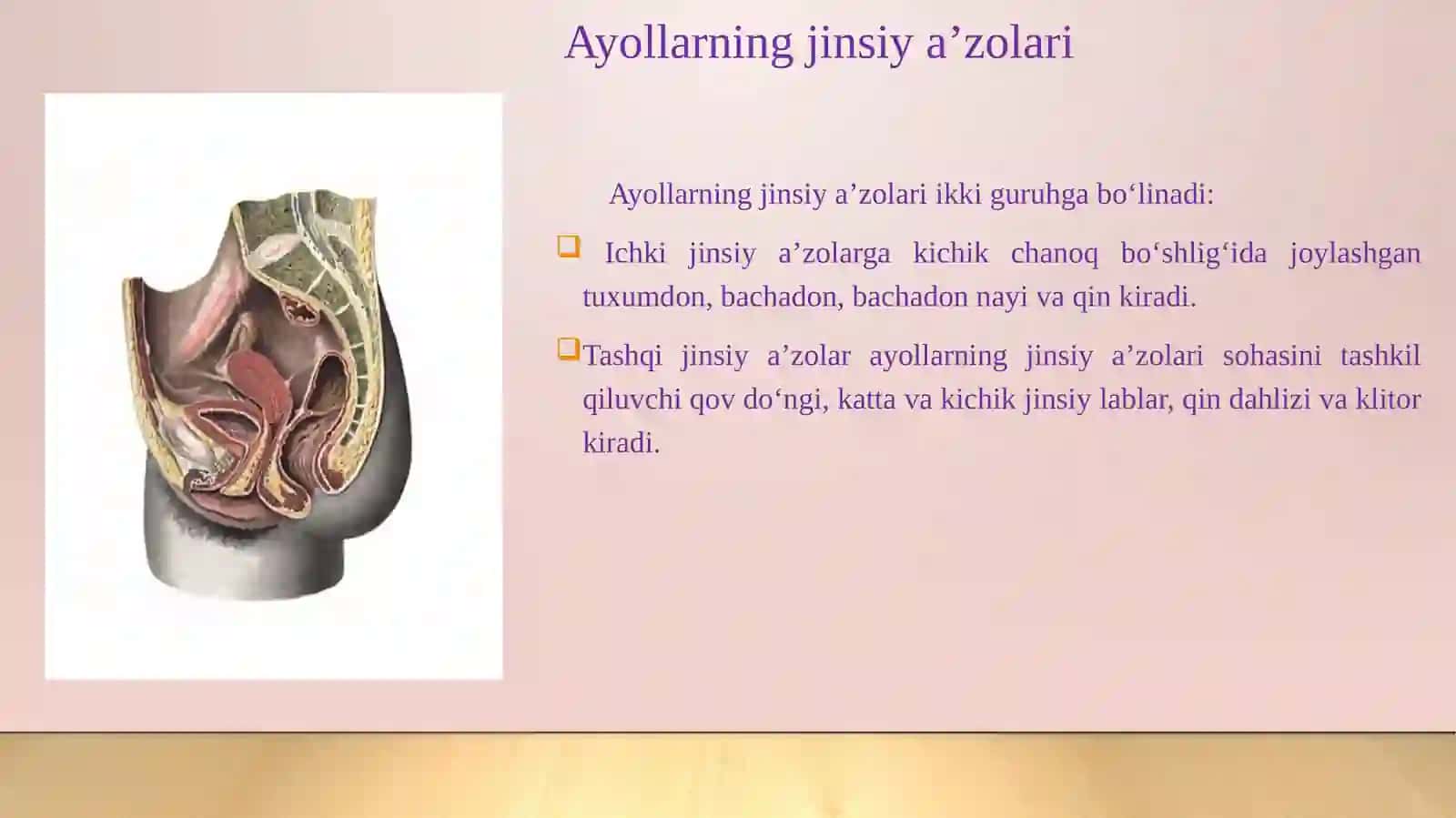 Ayollarjinsiya’zolari 3