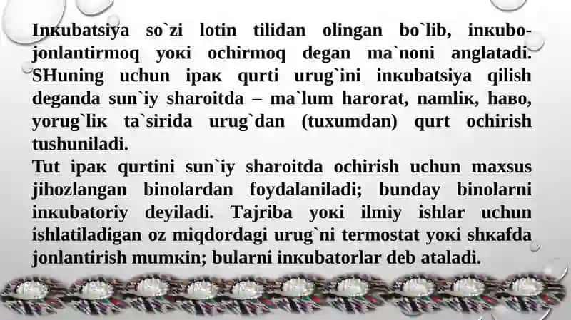 INKUBATORIYANI TASHKIL QILISH VA IPAK QURTI URUG`INI JONLANTIRISH 3